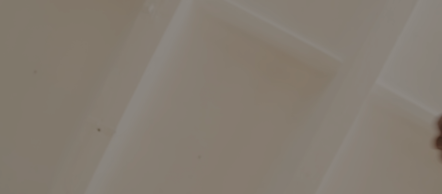 Education background